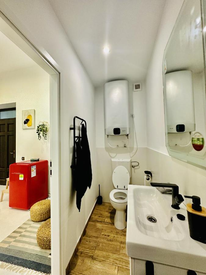 Clever Studio Near Central Shopping Center كلوج-نابوكا المظهر الخارجي الصورة